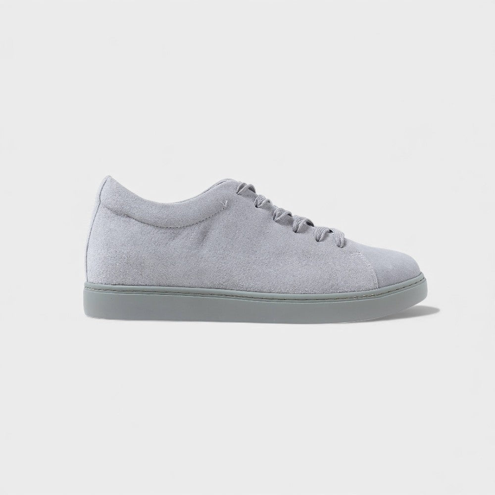 The Oxford|Gray